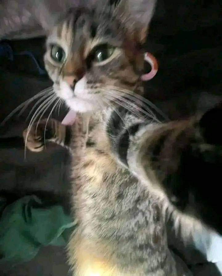 ᅠᅠᅠᅠ  fra๓ճᴜєรa.⠀

  ᅠᅠMe acabo de dar cuenta que el pinned tiene un citado pero no lo puedo ver, quien chuchas cita algo y pone la cuenta en privado para no poder verlo. 
 ᅠᅠᅠᅠ