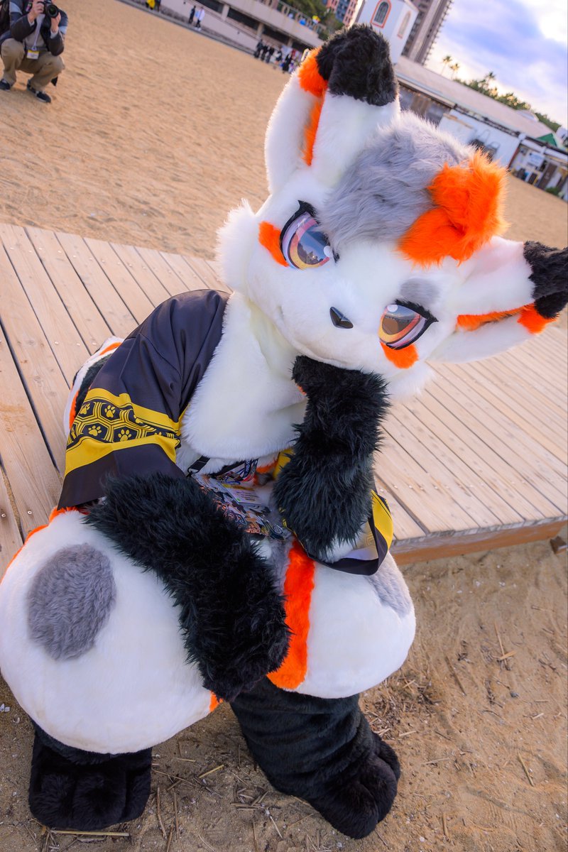 Cinnamon__F's tweet photo. 今年もそろそろかあー
#FursuitFriday
#KSF3rd
#KemonoSpaceFukuoka
📸:@Parisian621 https://t.co/lXmPwJFVtB