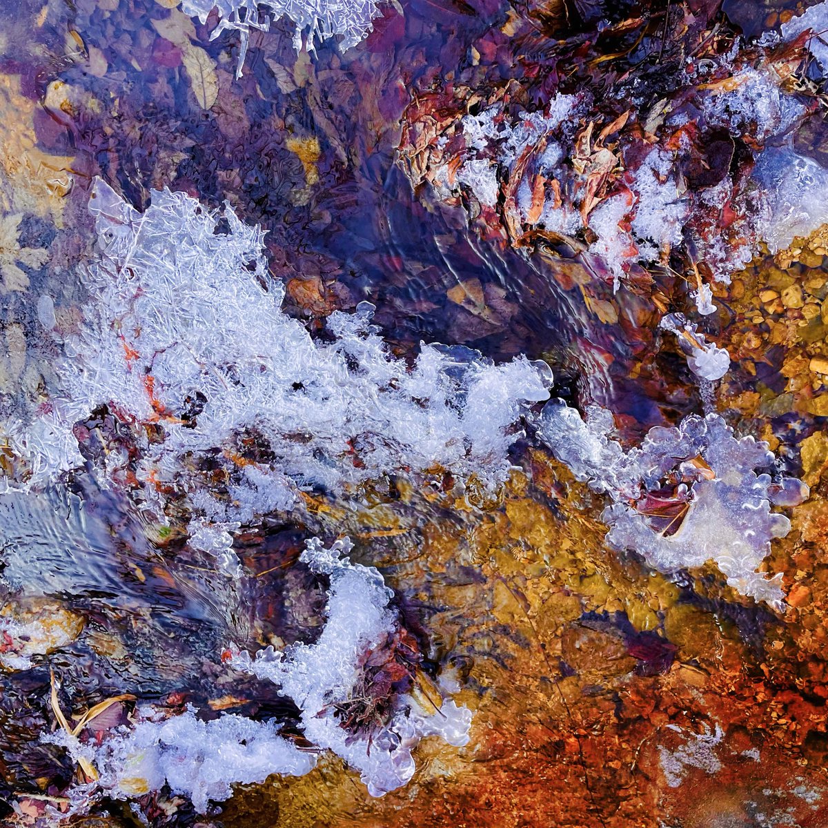 _ad_inf_'s tweet photo. m …frozen spectrum 02
#FrozenSpectrum #CreativeRetouching #DigitalManipulation #TactileTextures #AnalogDigitalNatural https://t.co/JpGpIfgA3g
