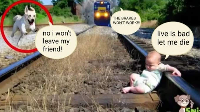 BambiUmami's tweet image. 