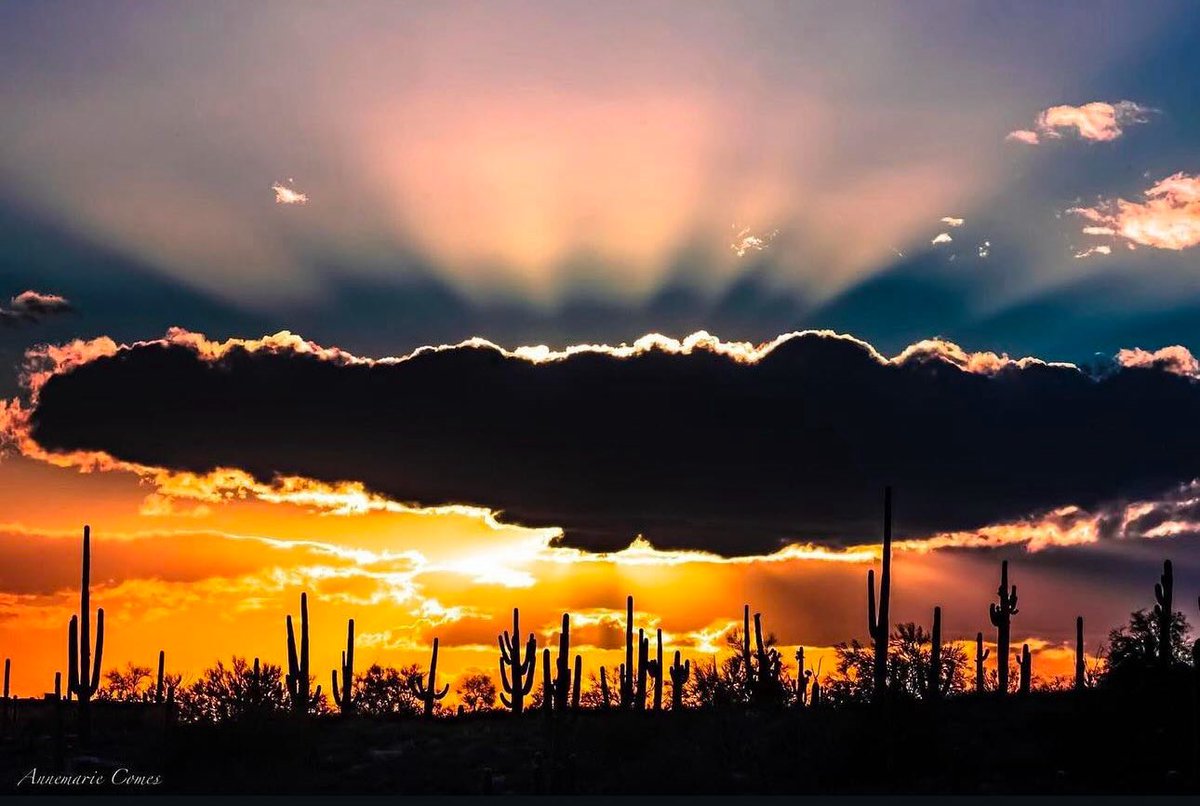 ComesAnnemarie's tweet photo. One never knows….what nature will deliver!
#sunset #sunrays #beauty #Arizona #hugecloud https://t.co/3UG07LX3jh