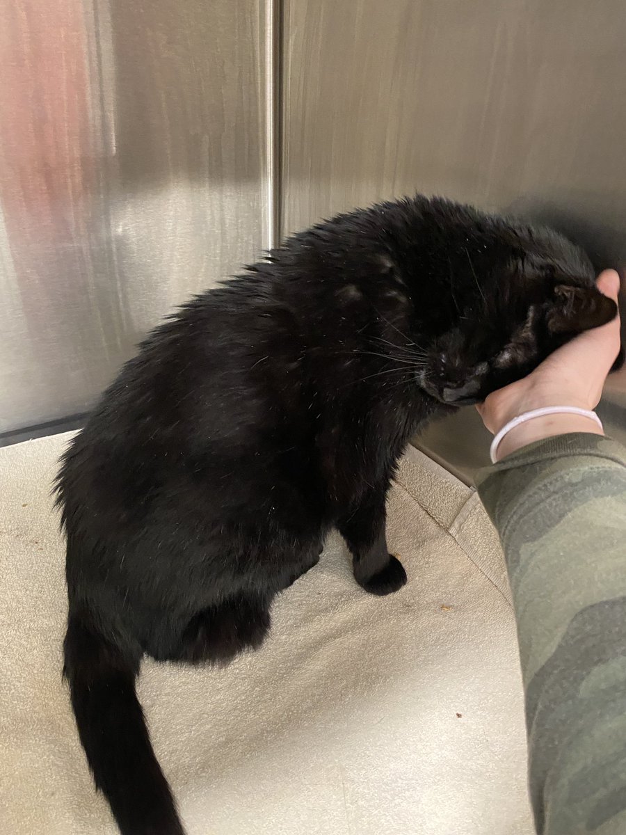 owen hunt hate account tweet media