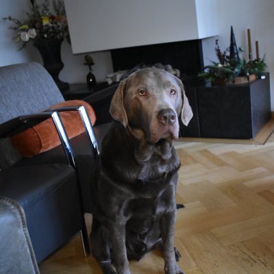 #nieuweprofielfoto