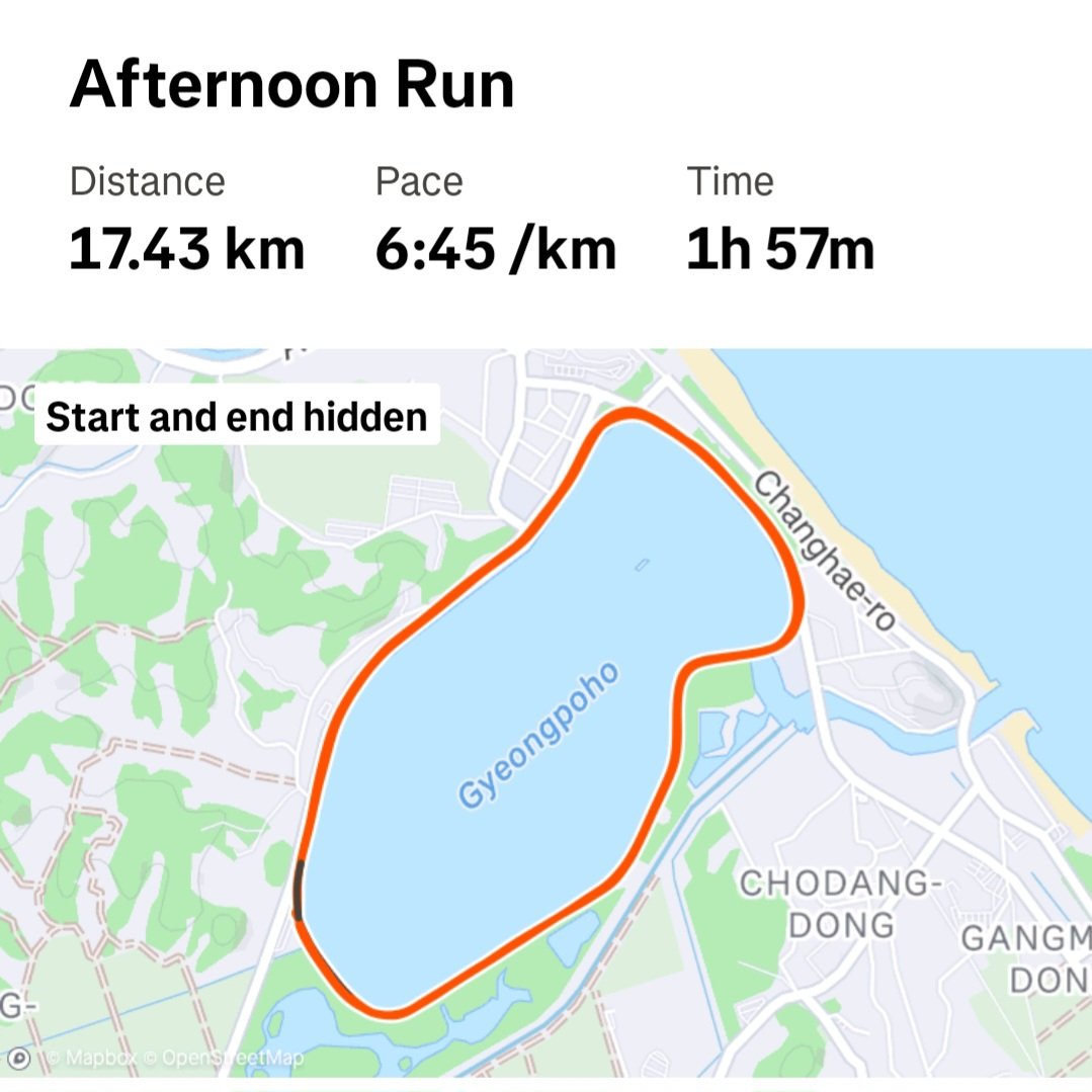 24년 마지막 주말....
27일(금) 이디자 방문
28일(토) 수영 1500m
29일 LSD 17km
올 클리어...^^