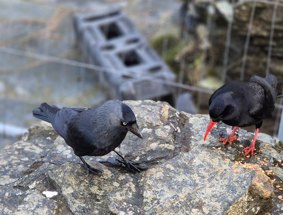 Phil 🇺🇦 tweet media