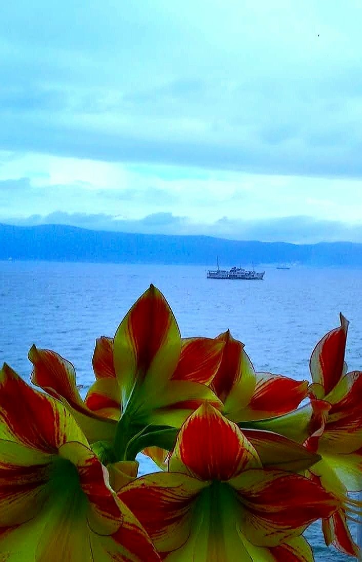 Hoşçakal, bir vapur adı olmalıydı belki de...