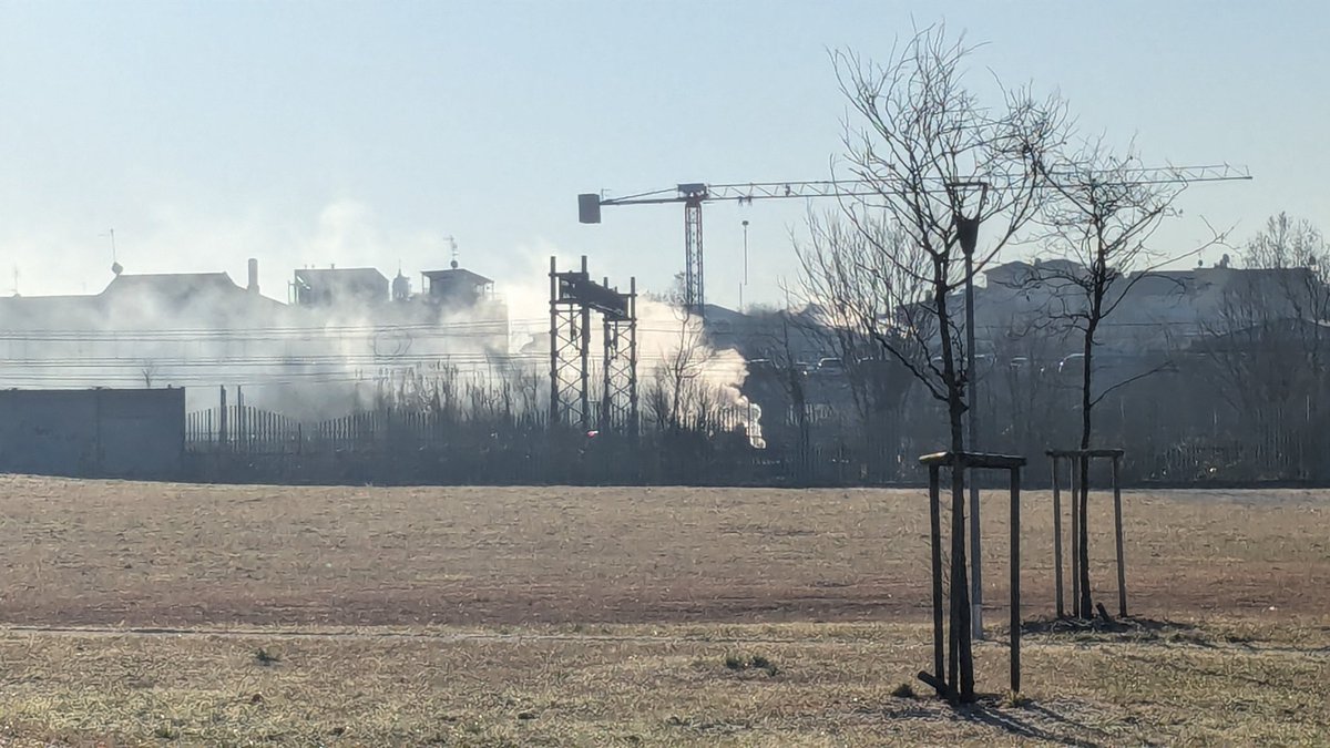 ilDalo's tweet photo. @ComuneMI questo accade giornalmente accanto ai binari dell'alta velocità adiacenti al Parco Verga, lato via Negrotto. Stiamo diventando la terra dei fuochi e voi continuate a non intervenire.
Ho scattato la foto da l'area giochi del parco.@SardoneSilvia
@AssParcoCertosa https://t.co/ngDTvfodae