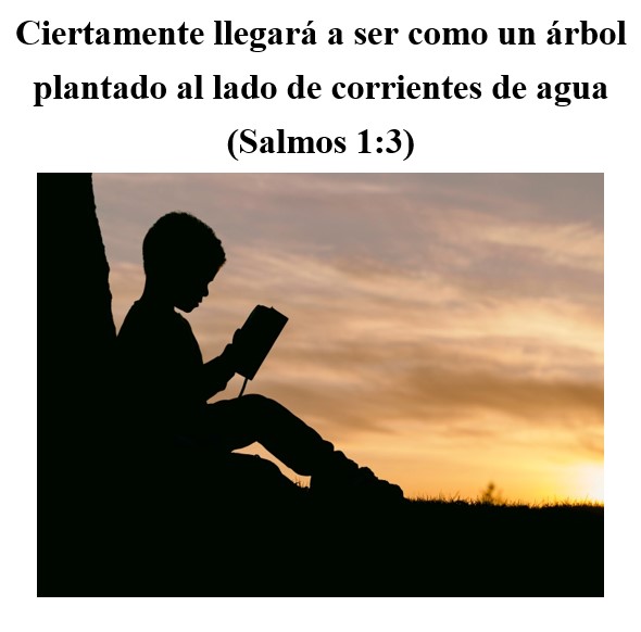yomelijah's tweet photo. #Jehová #Dios #biblia #Jesús #Cristo #Jesucristo #enseñanza #madurez #perfección #justicia #bondad #modestia #amor #temor #conocimiento #creación
Ciertamente llegará a ser como un árbol plantado al lado de corrientes de agua (Salmos 1:3) (Leer en Quora)
https://t.co/bvRlSCULFb https://t.co/ndRQ0TAkYn