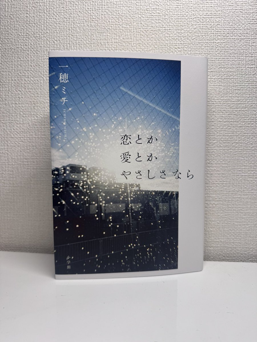 「恋とか愛とかやさしなら」
作者　一穂ミチ
#読了　#読書　#小説