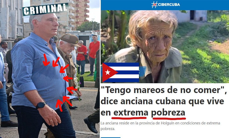 Dama 2.0 tweet media