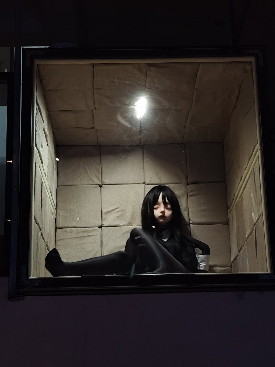 笼中鸟何时飞   #笼子 #kig  #绳欲club
出境:@小钰
场地:鸢club