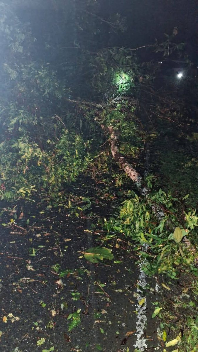 ProfeJulioAgu's tweet photo. 🗣️CIERRE VIAL POR DESLIZAMIENTO 🚨

#AEstaHora hay cierre en la vía #Manizales - #Fresno, sector El Naranjo, por causa de un deslizamiento de tierra y caída de capa vegetal. https://t.co/maVuy31Zu3