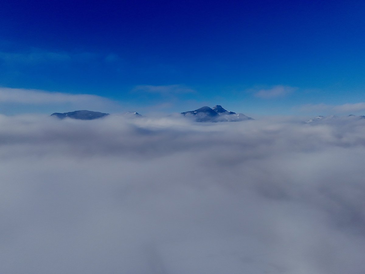 Ja n der Früh den Nebel ausgenützt 😏