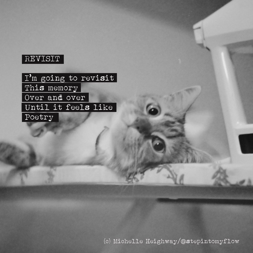STEPINTOMYFLOW (@stepintomyflow) on Twitter photo Poem of the Day: REVISIT
A lovely memory of my little catโthe first time I moved into my own place and actually used an iron! Shot on film, I love the nostalgic feel.
Funded by <a href="/ace_national/">Arts Council England</a> , this poem will be featured in my debut poetry book Step Into My Flow.
#Poetry #Poems Poem of the Day: REVISIT
A lovely memory of my little catโthe first time I moved into my own place and actually used an iron! Shot on film, I love the nostalgic feel.
Funded by <a href="/ace_national/">Arts Council England</a> , this poem will be featured in my debut poetry book Step Into My Flow.
#Poetry #Poems