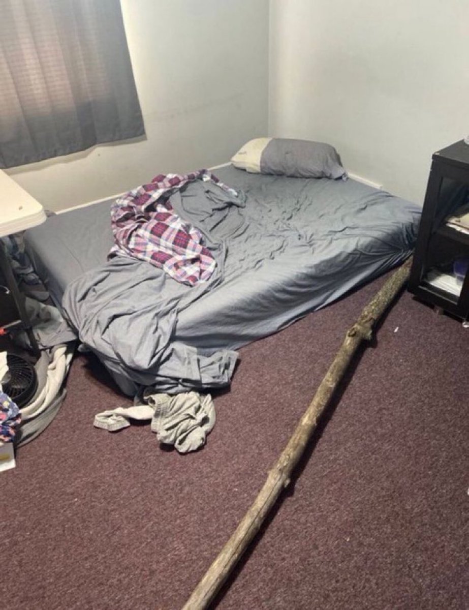 Gordon 🐂 tweet media