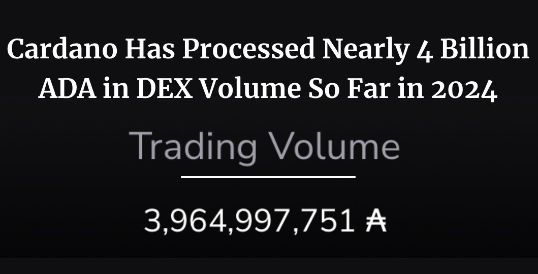 Botty 🥷 🤖 tweet media