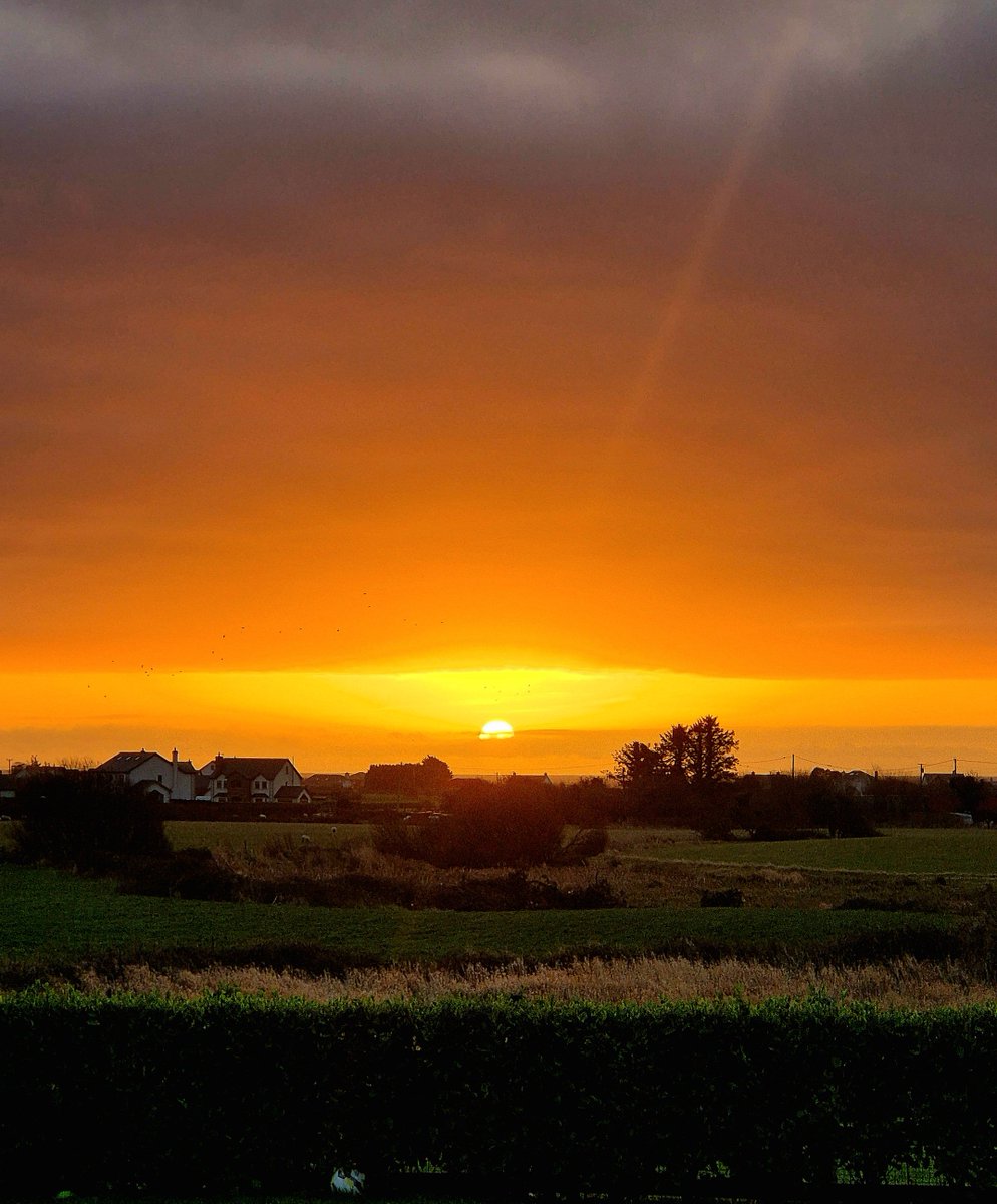 The sun decided to make an appearance this Holiday period.