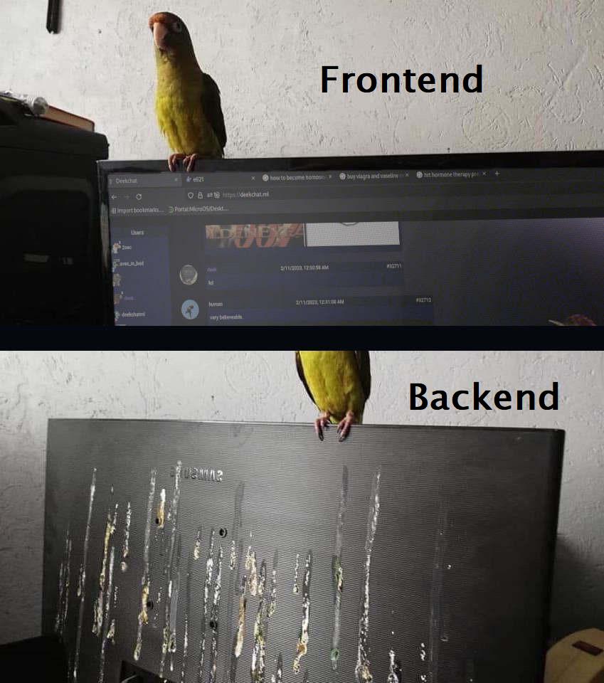 Programmer Humor tweet media