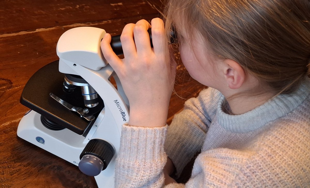 Marcel Schmeier tweet media