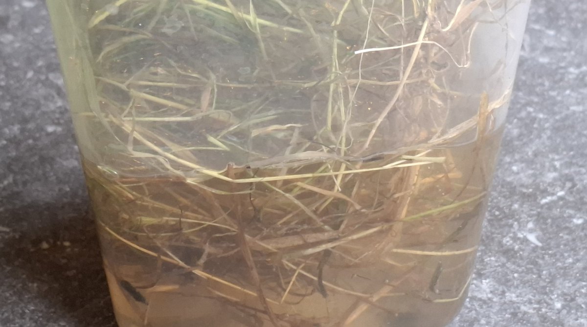 Marcel Schmeier tweet media