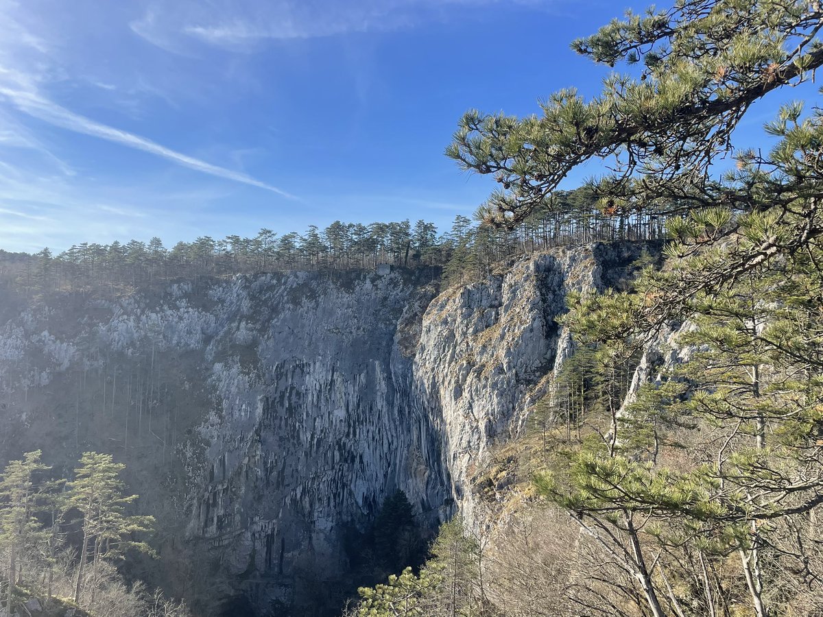 WallnerJosef's tweet photo. @nikzimmer87 es war selbst hoch oben im Karst speziell… St. Kanzian https://t.co/vOk8PuOcwr