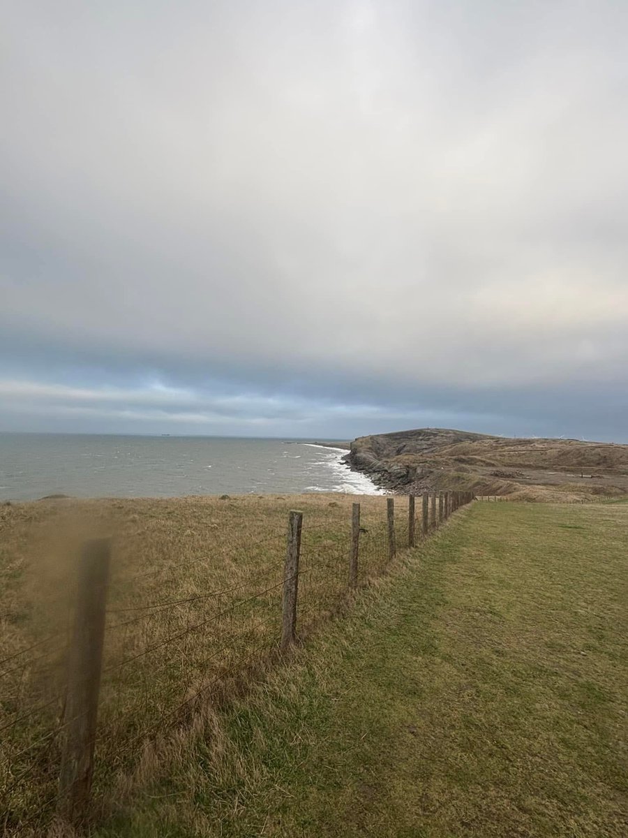 Mark Storie tweet media