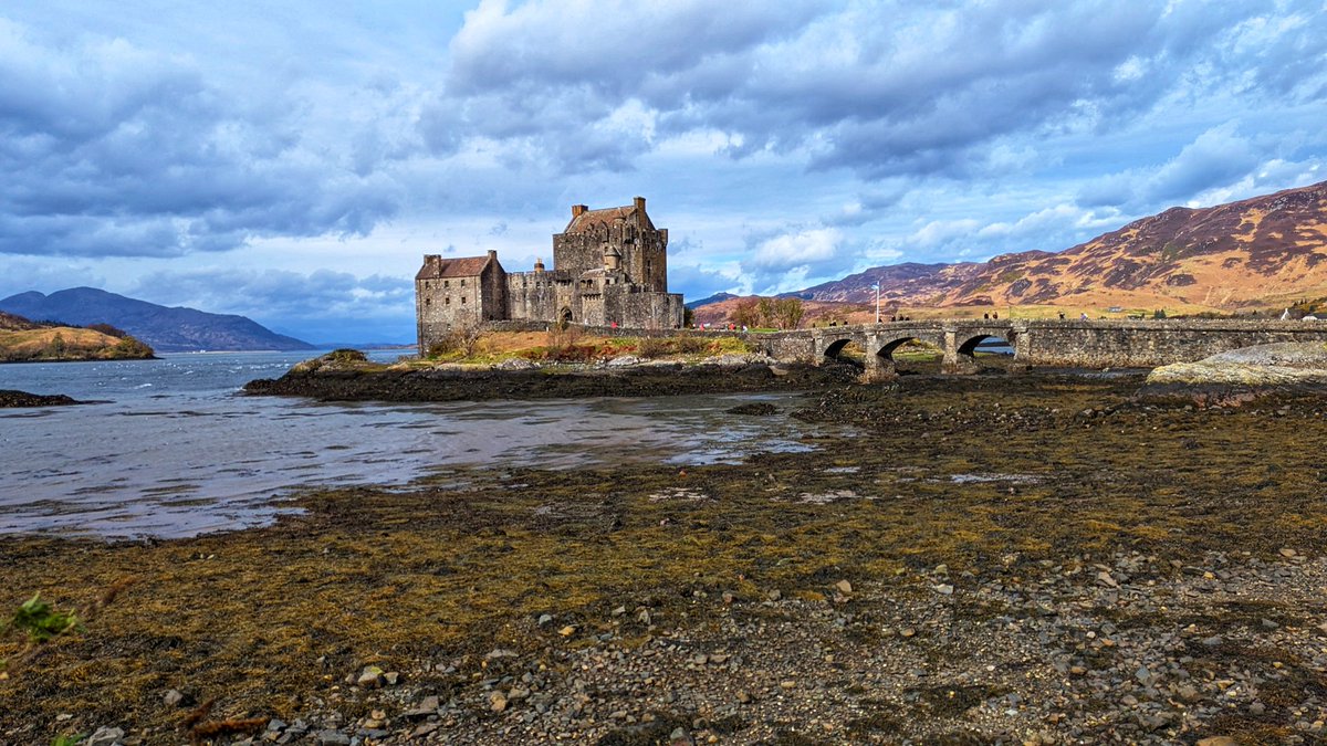 Val Bayliss-Brideaux tweet media