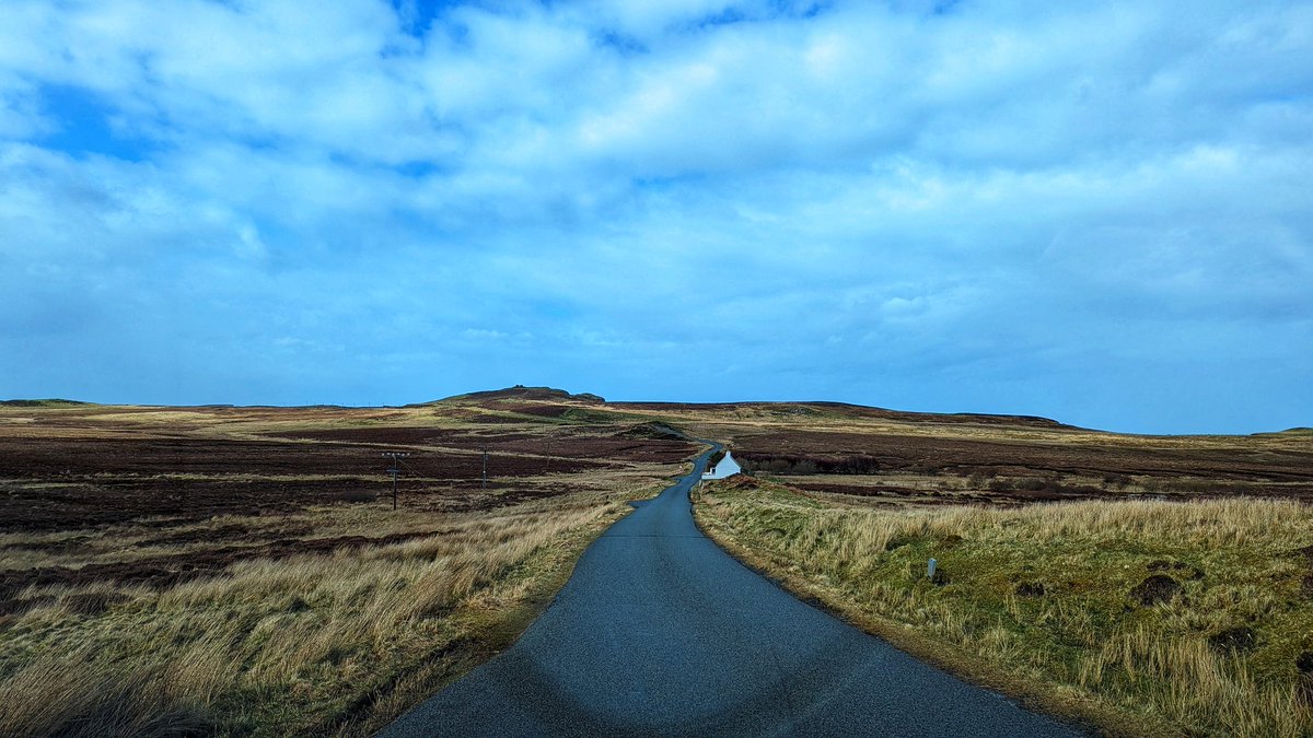 Val Bayliss-Brideaux tweet media