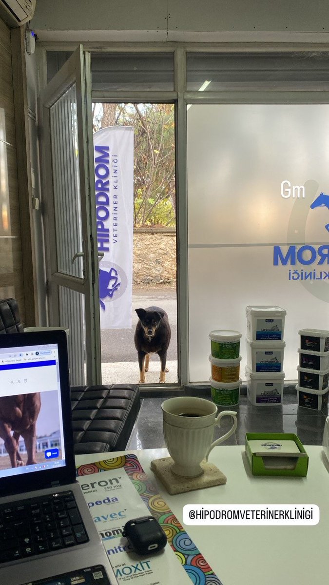 hipodromvet's tweet photo. Pazar mesaisi #hipodromveterinerklinigi #equinevet #athekimi https://t.co/x5XntnC4sS
