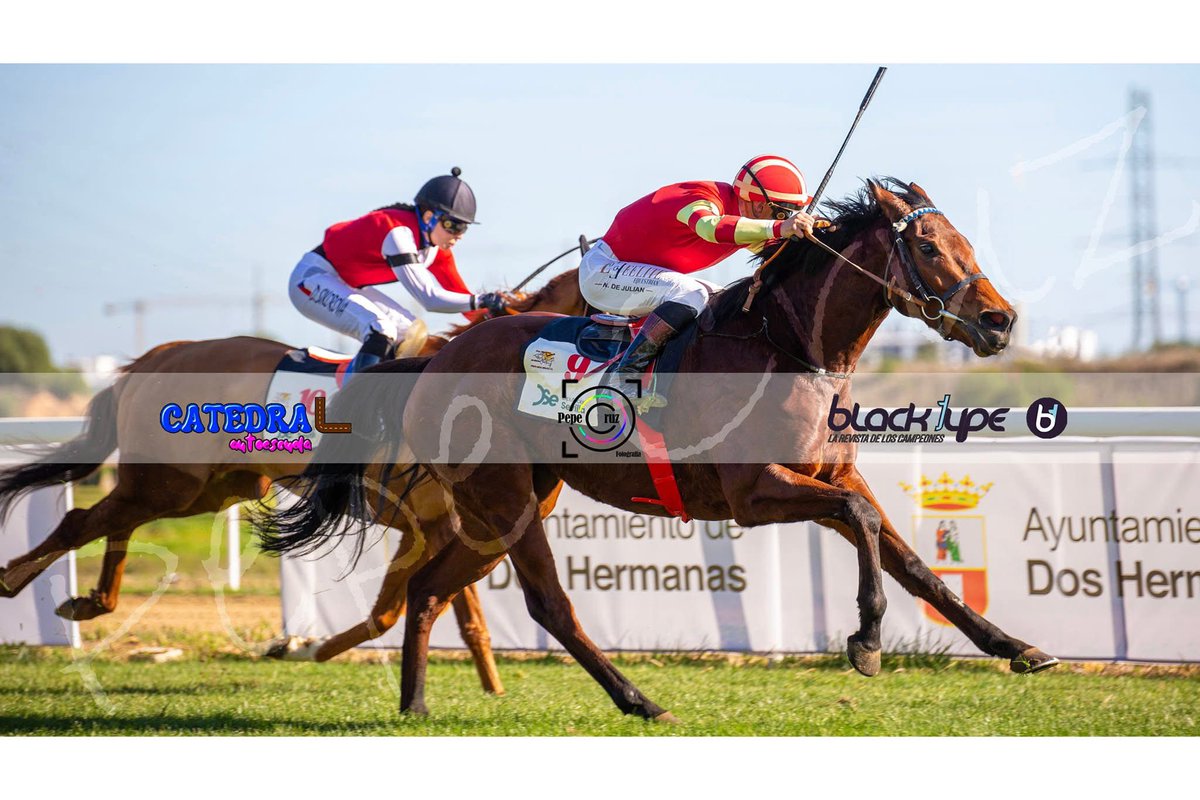 Juan Carlos (@tosgriju) on Twitter photo Hoy en <a href="/GranHipodromo2H/">Gran Hipódromo de Andalucía - Dos Hermanas</a> tenemos de nuevo a <a href="/Nicodejulian/">Nicolás de Julián</a> montando a
Eye of Destruction de <a href="/J_C_Cerqueira/">Jose Carlos Cerqueira</a>
Walkczak de <a href="/DavidFarlete/">David Farlete</a>
Mucha suerte Nico
Foto de <a href="/PepeCruz_Martin/">ᴘᴇᴘᴇ ᴄʀᴜᴢ ᴍᴀʀᴛɪɴ</a> Hoy en <a href="/GranHipodromo2H/">Gran Hipódromo de Andalucía - Dos Hermanas</a> tenemos de nuevo a <a href="/Nicodejulian/">Nicolás de Julián</a> montando a
Eye of Destruction de <a href="/J_C_Cerqueira/">Jose Carlos Cerqueira</a>
Walkczak de <a href="/DavidFarlete/">David Farlete</a>
Mucha suerte Nico
Foto de <a href="/PepeCruz_Martin/">ᴘᴇᴘᴇ ᴄʀᴜᴢ ᴍᴀʀᴛɪɴ</a>