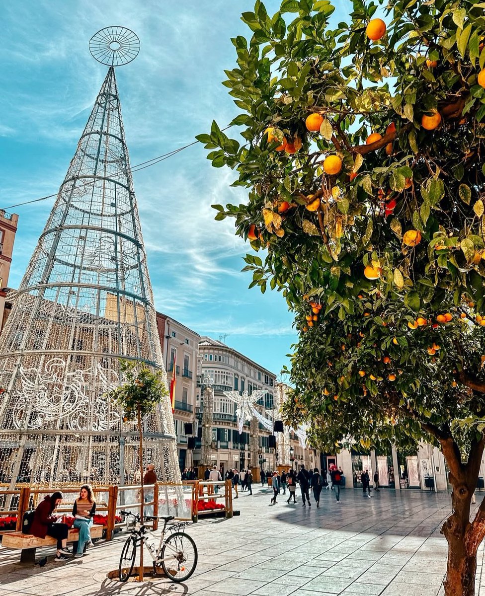Malagaconacento's tweet photo. ¡¡¡ #Buenosdias ☀️ y #FelizDomingo✨ desde #Málaga 💜💚 !!!
Foto mymalaga
Hoy #29Dic 👉 Día de #SantoTomas y #SanDavid
¡ Muchas Felicidades 🥳🥳🥳 !!!
#malagaconacento #vivirenmlg #goodmorning #followme #beautiful https://t.co/ajBldNE4zk