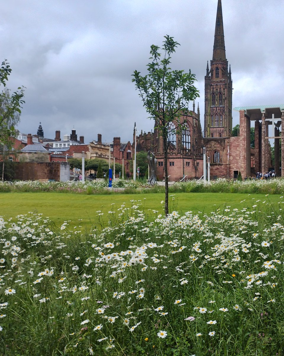 covcampus's tweet photo. This past year has been filled with huge milestones on our journey to a more sustainable future. 

Here are just some of our key moments in this area:

💰 We were awarded a grant of almost £13 million by the Public Sector Decarbonisation Scheme to help us hit our target of being #NetZero by 2030.

The grant will help towards the cost of installing around 1,300 new solar panels and connecting nine of our buildings to the city's district energy network, reducing our carbon emissions by more than 1,300 tonnes per year: https://t.co/9tvJlumDv4

🌲 Our Peace Garden and Starley Gardens were recognised with two major sustainability awards, the @GreenGowns Award in the category of Nature Positive, and the @GreenFlagAward for Best Climate Adaption.

The Green Flag prize is considered a ‘best of the best’ accolade as only projects to have won prestigious Green Flag Awards earlier in the year are open for consideration. 

The Green Gown Awards recognise exceptional sustainability Initiatives being undertaken by universities and colleges across the UK and Ireland: https://t.co/KOgEvD9uSZ

🔋 We joined forces with @UGMYogyakarta in Indonesia to explore the creation of a joint laboratory dedicated to reducing electric vehicle battery waste.

This global collaboration, formalised through a Memorandum of Understanding, aims to promote resource reuse and contribute to sustainable manufacturing practices: https://t.co/EoaWzhWWui

🐰 Our fashion department has shown its commitment to a more ethical industry by not using new animal furs or exotic skins in its students’ work.

This decision was taken by staff to support their passion for sustainability and has been supported by animal charity @PETA: https://t.co/Osu6T0IaWH

🛥️ Our graduate Amel Khsouma has won a prestigious superyacht competition with her sustainable design for a ship that “never dies”. 

Amel envisaged a yacht that would remain profitable during its 50 to 60-year charter, and still be enabled to be reconfigured as a museum and cafeteria at the end of its charter: https://t.co/lqzFnoUjTp

⚡️ We will play a key role in a project designed to revolutionise the UK’s ability to manufacture power electronics to enable the shift to sustainable electrification through the £11 million initiative, Project PULSE (Power Electronics Upscale for Localisation and Sustainable Electrification).

Harnessing the our award-winning Institute for Advanced Manufacturing and Engineering facility, our researchers will provide instrumental leadership in enhancing manufacturing efficiency and sustainability and incorporating cutting-edge solutions to maximise the project's ambitions: https://t.co/3mZxDrgbzq @ame_u

🤝 This year we formally announced the appointment of Deepak Farmah as Director of the Centre for Advanced Low Carbon Propulsion Systems. 

In this role, Deepak is aiming to advance the development of next-generation technologies necessary for a clean and sustainable future: https://t.co/iKv5sQvca6 

🌱 We are leading the Clean Futures Catalyst initiative aimed at empowering SMEs across the region to develop and produce cleaner technologies within the transport sector.

The Catalyst forms part of the wider Clean Futures programme led by @CPCatapult, alongside Coventry University and the Black Country Innovative Manufacturing Organisation: https://t.co/uBWxf6Kvf9
