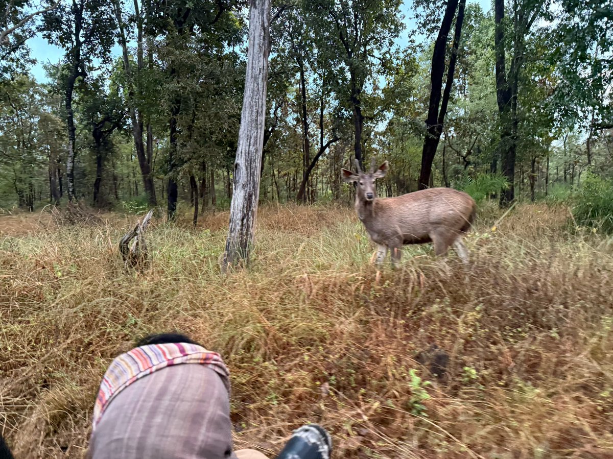 मध्यप्रदेश की वन्य संपदा और यहां की प्राकृतिक सुंदरता पर्यटकों का मन मोह लेती है, मध्यप्रदेश को टाईगर स्टेट, चीता स्टेट, तेंदुआ स्टेट आदि का दर्जा प्राप्त है।

परिवार के साथ सतपुड़ा टाईगर रिजर्व पहुंचकर जंगल सफारी का आनंद लिया, आप भी आईए मध्यप्रदेश और यहां के पर्यटन का आनंद