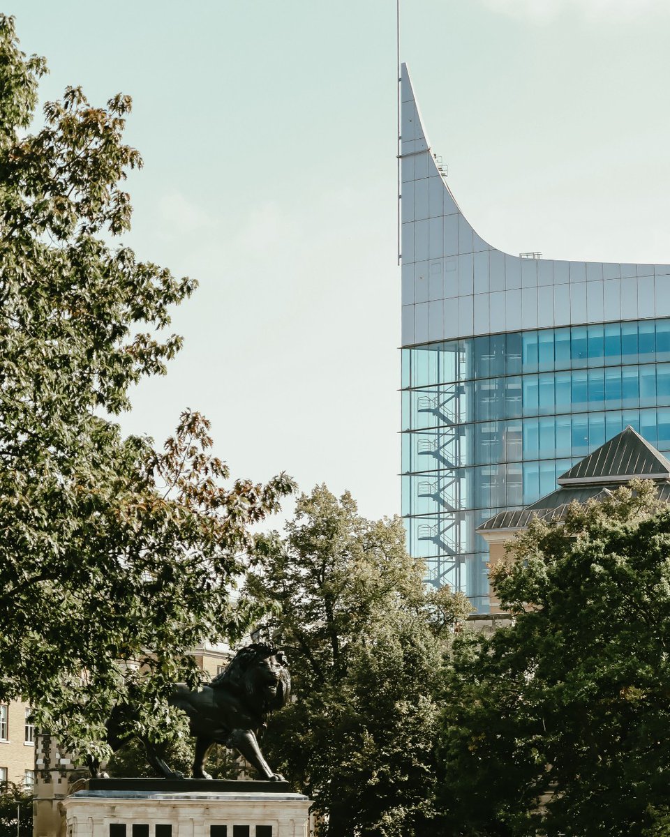 Who doesn't love a brisk Sunday winter walk? 
We've got a lovely list of easy local area strolls up on our website right now, have a look and grab some fresh air before going back to work.

visit-reading.com/ideas-and-insp…