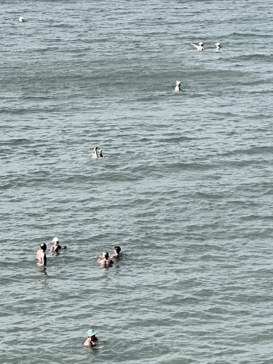 luvmpl's tweet image. h(s)ealing