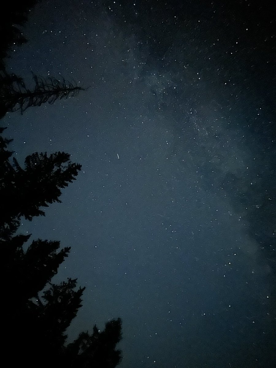 financefix.me tweet media