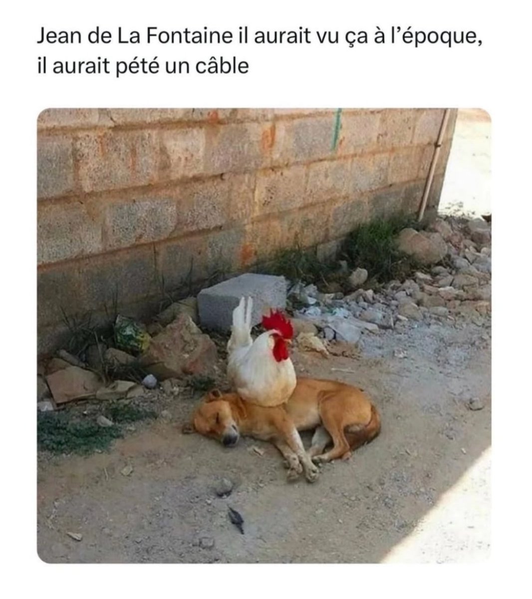 𝓲𝓶𝓹𝓮𝓻𝓪𝓽𝓻𝓲𝓬𝓮 𝔀𝓾 🎀 (@imperatricewu) on Twitter photo 