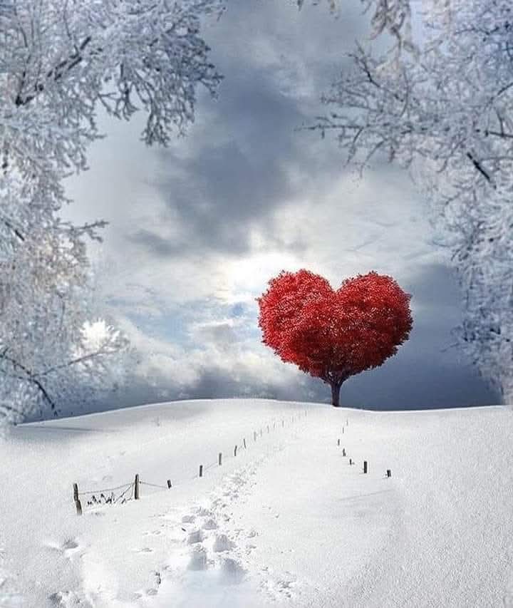 عليك أن تستمر في كسر قلبك حتى ينفتح.