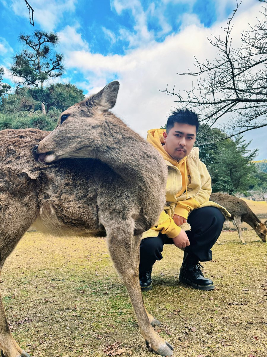 ProPandas_Cass's tweet image. 奈良での素敵な一日💚🌳🦌😊#producepandas #熊猫堂 #Japan tour #nara