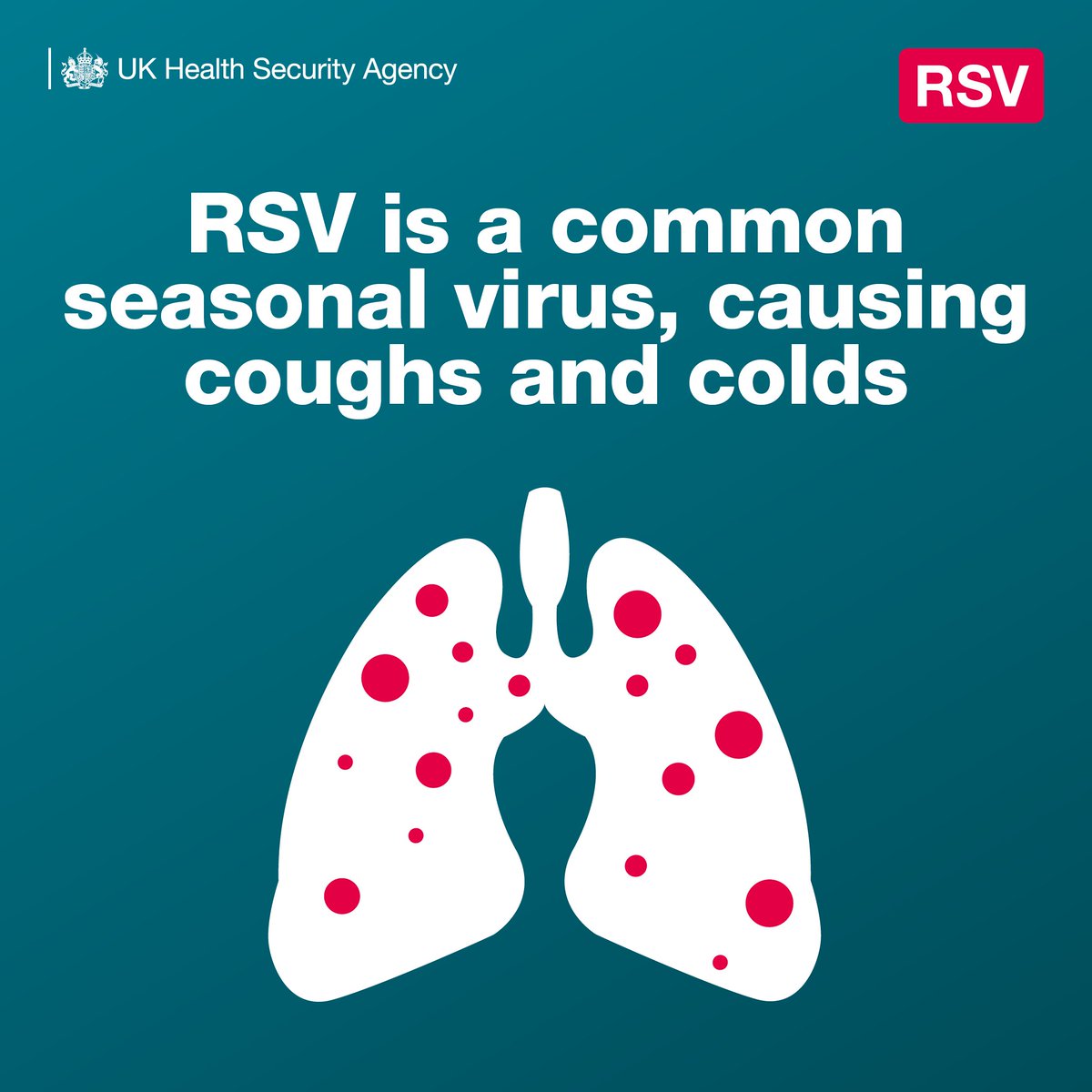 GlosCC's tweet photo. Respiratory syncytial virus (RSV) is circulating in the South West, with emergency department attendances on the rise 🤒

If you're an older person, pregnant or have a pre-existing health condition, getting a vaccination will help reduce your risk of getting seriously ill 💉 https://t.co/TCHOqImovq