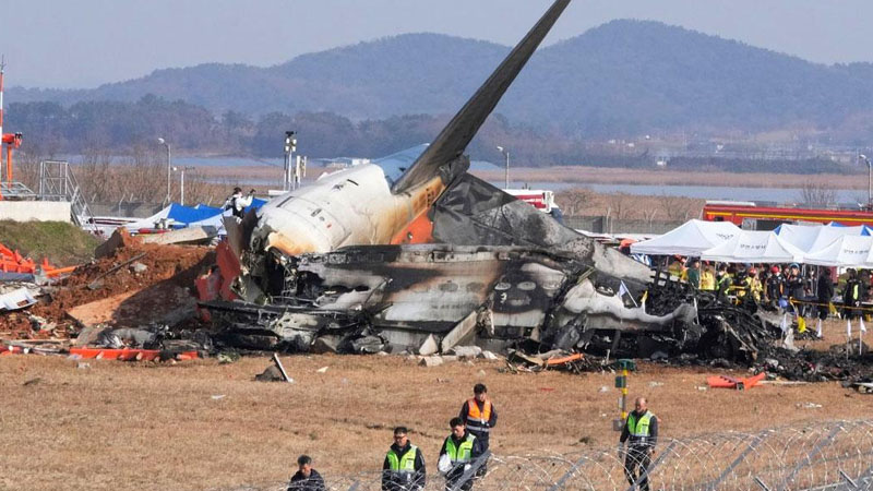 পাখির সঙ্গে বিমানের ধাক্কা! ১৭৯ জনের প্রাণহানি