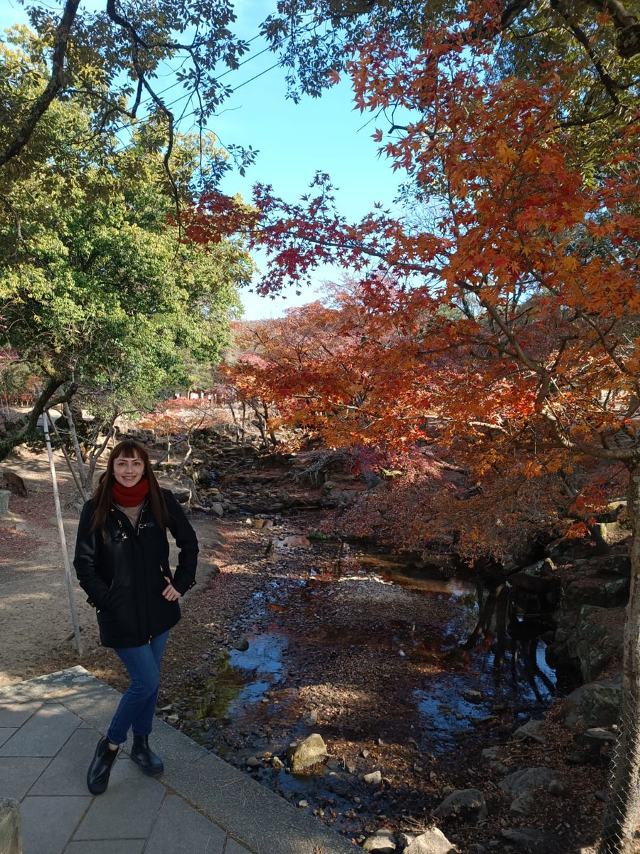 YaneDyahP's tweet photo. At Nara, Japan https://t.co/An2y4B4UWo