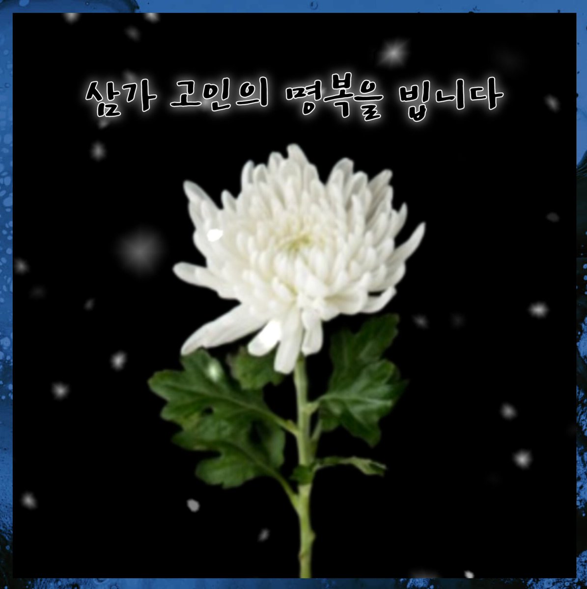 Daram (@daram_art) on Twitter photo 