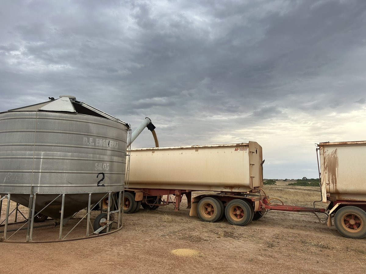 FarmerTonyWhite's tweet photo. @ausstockchick Me Being a simple farmer, im always intrigued by the way people think , that a flash watch , flash house , flash car and a flash boat make them
Look like they made it in life. 😀 i think its more the mongrel mates and people u meet in life that  make u rich https://t.co/IsvLVixBqn