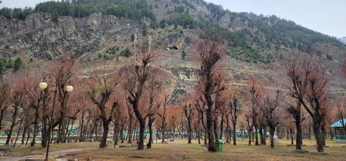 sinhanamika's tweet photo. कभी पतझङ है, कभी सावन है,
सब कहते है...ये ही जीवन है ।
📍 Betaab Valley, Kashmir.
#spookymonth #winter #drytrees
#theme_pic_India_trees https://t.co/IJwH6ZJAsC