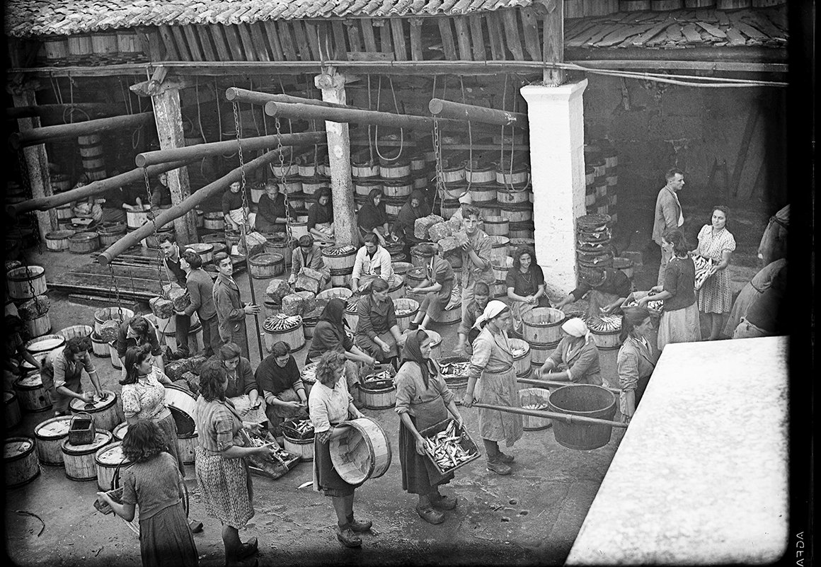 Mulleres traballando nunha fábrica de salgadura, Vigo.
📷 Arquivo Llanos, c. 1945.
"Na nosa terra chamámoslles arenques ás sardiñas do tabal, é dicir, afumadas, salgadas e prensadas, ás que se lles quitou parte da súa graxa -o saín-, colocadas nun barril de madeira".
🖊️ F. Galdo.