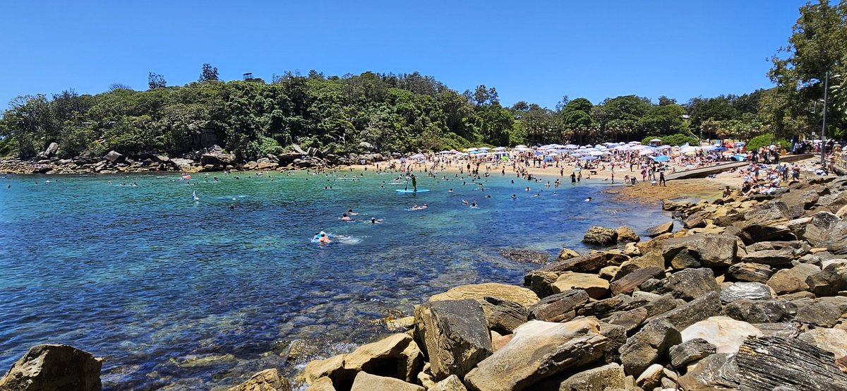 Manly Beach