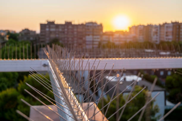 Best bird spikes installation services in kathmandu 
contact us 9849939226/9851351073
