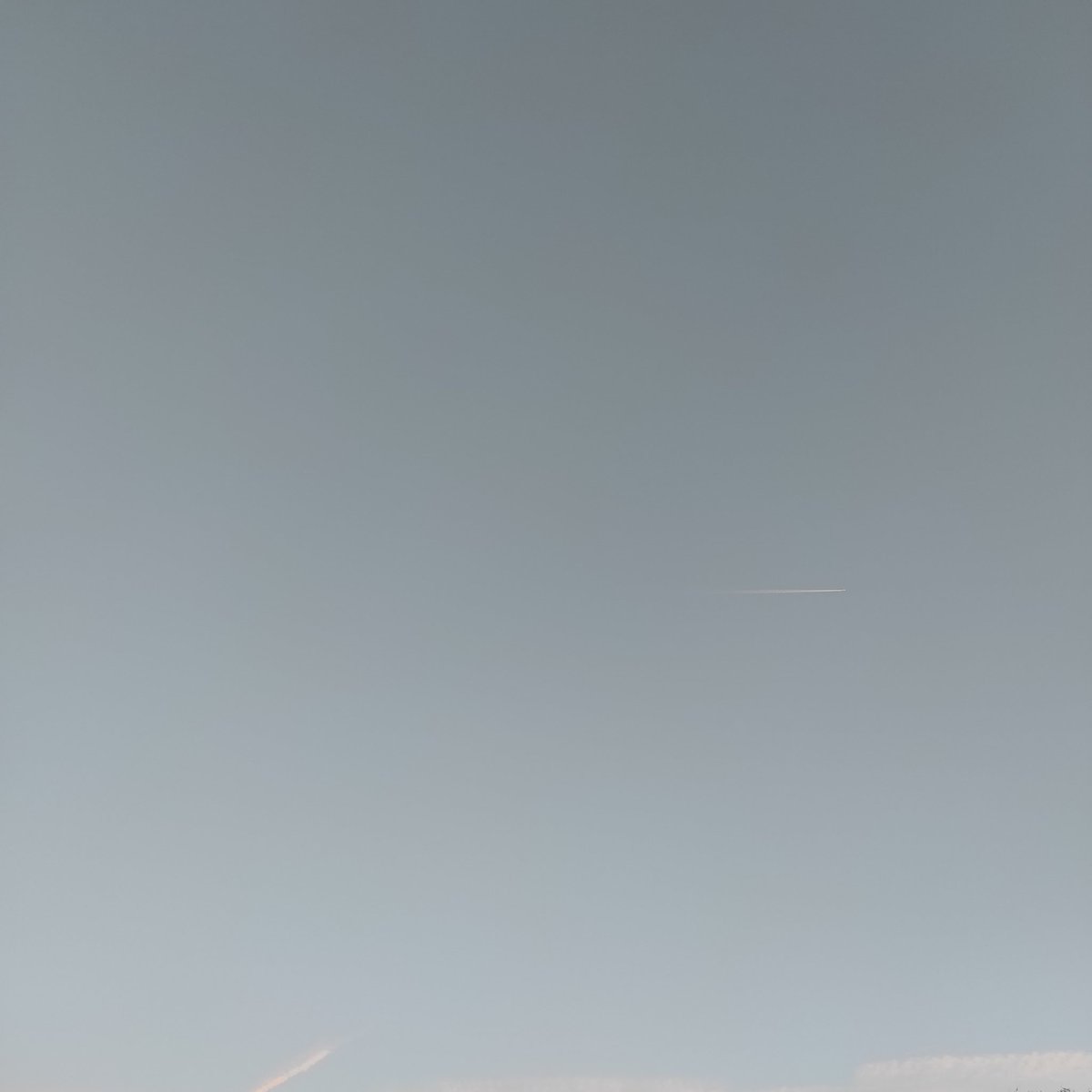 Quelques accords
de Blink à la radio.
Mélancolie de vie d'ado.

#EverydayArt2024 day 360