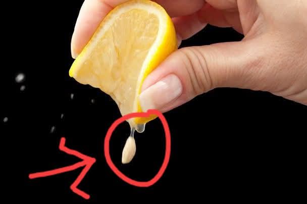 एक होटल को अपने एक जूस सेंटरमैन की कुशलता पर इतना भरोसा था कि उसने सीधे ₹ 10,000 की शर्त लगा दी। 
वो एक नींबू को अपने हाथ से तब तक निचोड़ते थे जब तक कि पूरा रस एक गिलास में न गिर जाए और फिर वह नींबू ग्राहक को दे देते थे और यह घोषणा की जाती थी कि जो ग्राहक नींबू से रस की एक बूंद